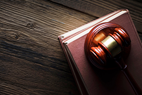 Dispute Resolution and Mediation